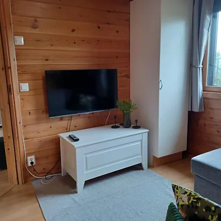Huipunpuisto B, Saehkoeauton Lataaminen Sisaeltyy Vuokraan Feriehus *