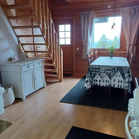 Huipunpuisto B, Pikku-Syoetteen Hissilippu Sekae Saehkoeauton Lataaminen Sisaeltyvaet Vuokraan *