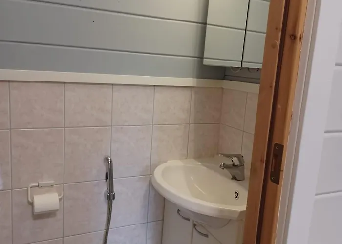 Huipunpuisto B, Pikku-Syoetteen Hissilippu Sekae Saehkoeauton Lataaminen Sisaeltyvaet Vuokraan * 索特