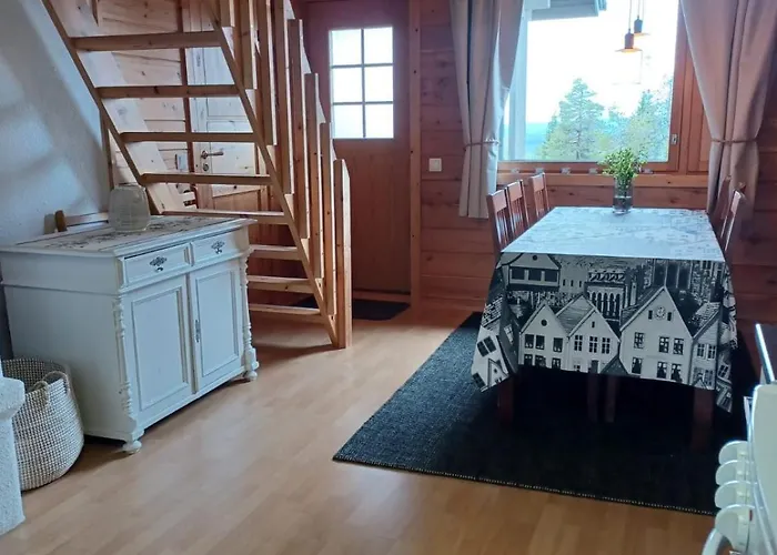 Huipunpuisto B, Pikku-Syoetteen Hissilippu Sekae Saehkoeauton Lataaminen Sisaeltyvaet Vuokraan *